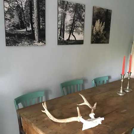 Il Mulino Di Aurora Bed and Breakfast *